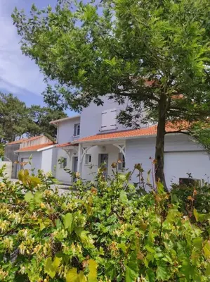 Jardin de l'établissement 3*** Mimizan 800m plage sud - villa 8/10 pers