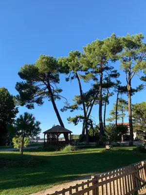 Jardin de l'établissement Little Murmur - Détente absolue entre lac, golf et océan à Hossegor