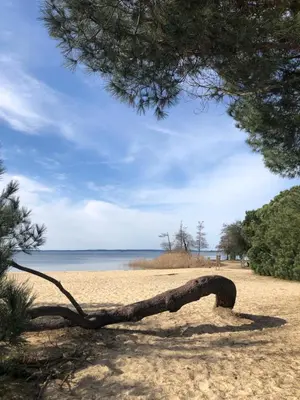 Paysage naturel près de la maison de vacances