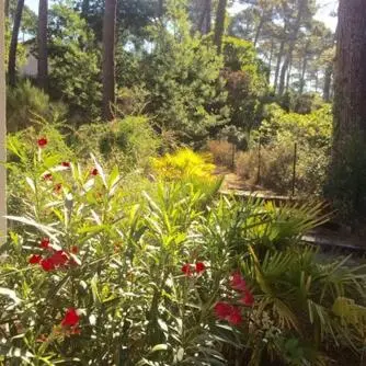 Jardin de l'établissement Modern Villa High Standing Pyla sur Mer 3' from beach