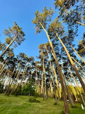 Paysage naturel près de la tente de luxe