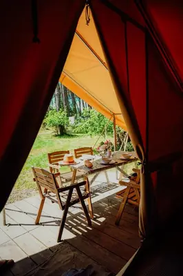 Plan de l'établissement Tente Lodge Bouleau - La Téouleyre