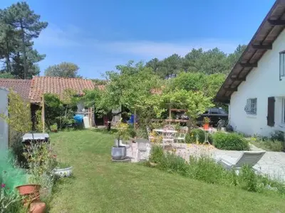 Jardin de l'établissement VILLA LA PAVOTTE 4* 11 PERSONNES.PISCINE CHAUFFEE.JACCUZY OPTION.