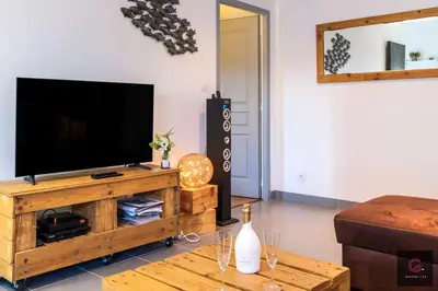 Télévision ou salle de divertissement dans l'établissement Biscarrosse Bourg Maison tout confort en centre ville