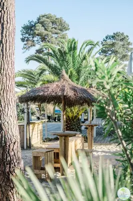 Jardin de l'établissement Sanguinet Charmante maison avec jardin pour 6 personnes