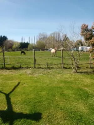 Jardin de l'établissement MON PETIT COIN DE PARADIS