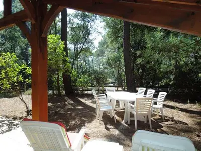 Jardin de l'établissement Pley - Seignosse agréable villa landaise dans secteur calme et résidentiel sur vaste jardin clos