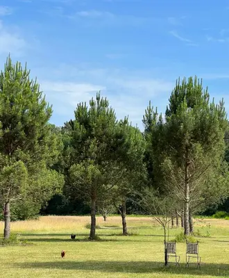 Paysage naturel près de le B&B/chambre d'hôtes