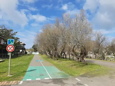 Plan de l'établissement Appartement T2 Tout Confort Centre-Ville Vieux-Boucau avec Parking Privatif et Proche des Plages - FR-1-239-926