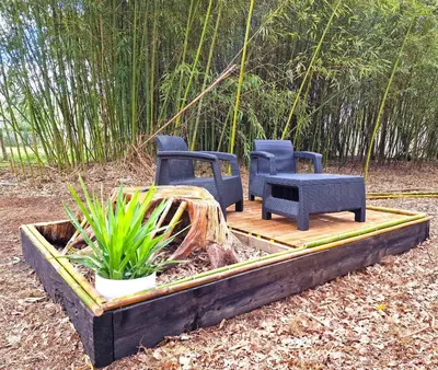 Jardin de l'établissement La Maison de la Saye & SPA