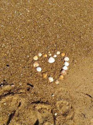 Plage de la maison de vacances ou située à proximité