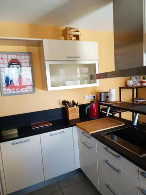 Cuisine ou kitchenette dans l'établissement Maison de la famille et des amis